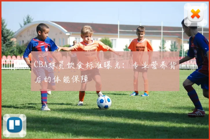CBA球员饮食标准曝光：专业营养背后的体能保障